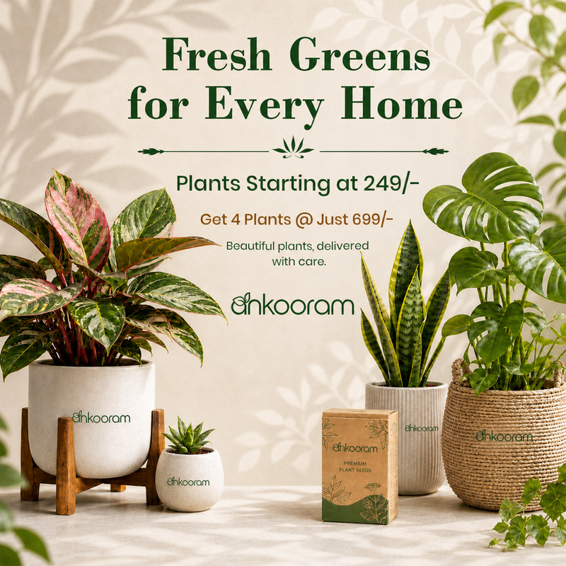 Your Balcony Deserves
