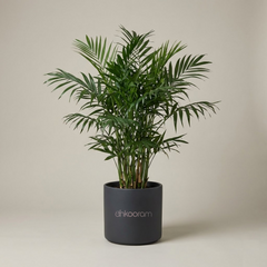 Flowering Plants