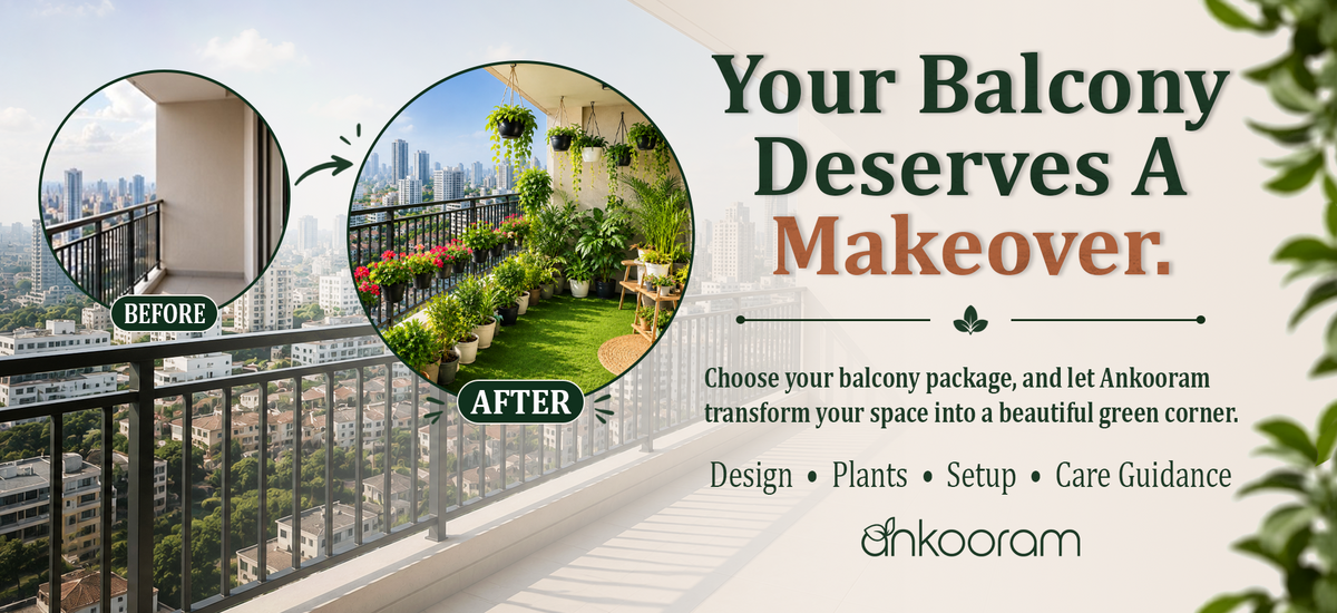 Your Balcony Deserves